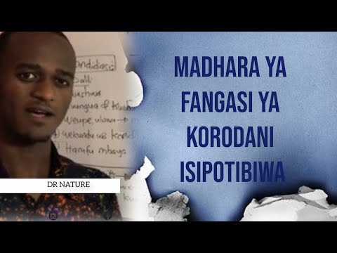 Madhara ya Fangasi Kwenye Korodani Isipotibiwa + Dalili Zake | Dr Nature