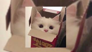 Download lagu Lil Peep - white tee (sped up) mp3