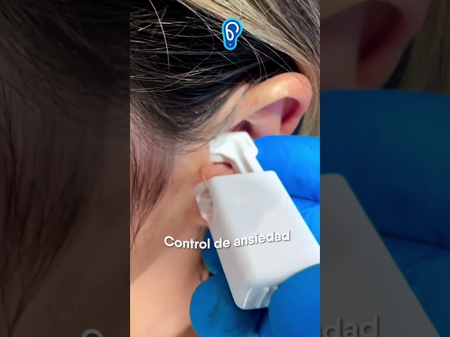 Vídeo relacionado con MLPKOI 32 Pcs 16G Piercing Tragus Acero Quirúrgico Piercing Trago Labret Nariz Rosca Interna Piercing Labio con Zircón para Mujer Hombre