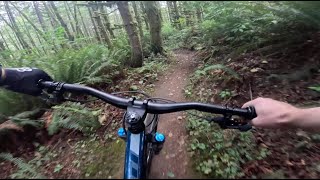 Lower Springboard - Lord Hill - Snohomish - Washington