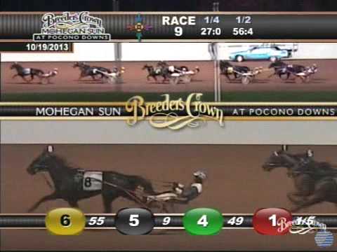 Maven - 2013 Breeders Crown - Open Mare Trot