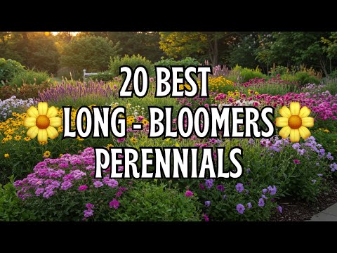 🌼 Top 20 Best LONGEST Blooming Perennial Flowers - BLOOMS THAT NEVER QUIT! 🌼