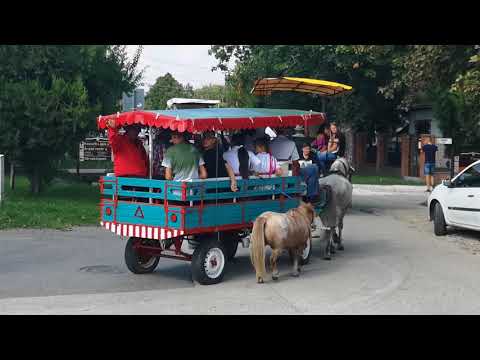 Maglód - Szüreti felvonulás, 2018.08.09. Maglód Nyaraló