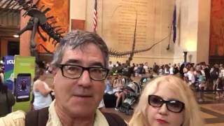 Natural History Museum enterence, NYC