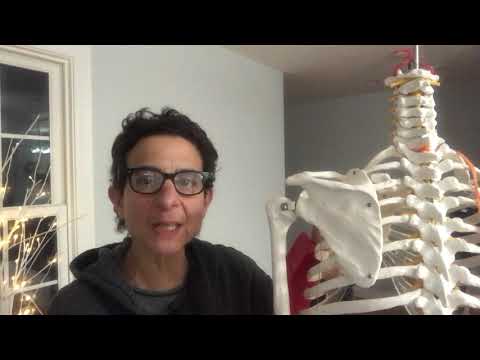 Force Couple Steering Action of Rotator Cuff