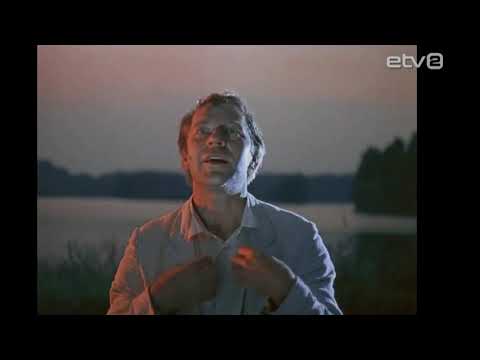 Nipernaadi/Enelele lugu