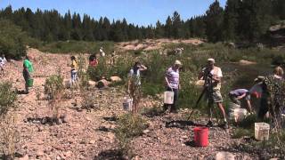 preview picture of video 'Pam Elkovich describes Restoration Efforts on Grimes Creek in Idaho - July 23, 2011'