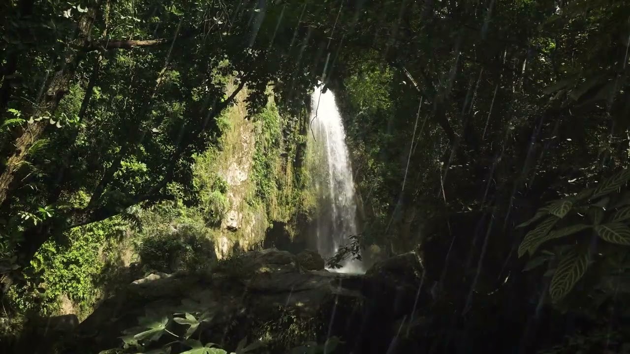Relaxing Piano & Rain Sounds 🌧️ 癒しの雨音 ASMR🌧️ | 目を閉じて雨を感じてみてください 😴