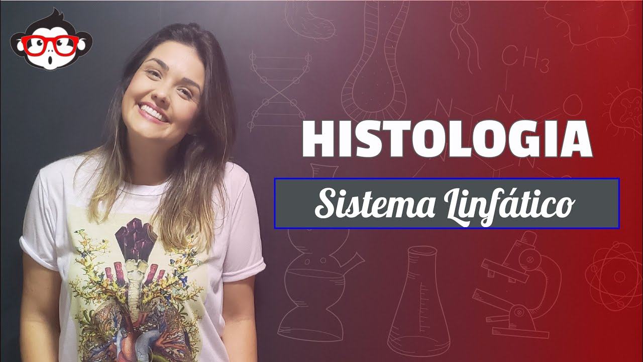 Histologia | Sistema Linfático - AP 1 🐵📚