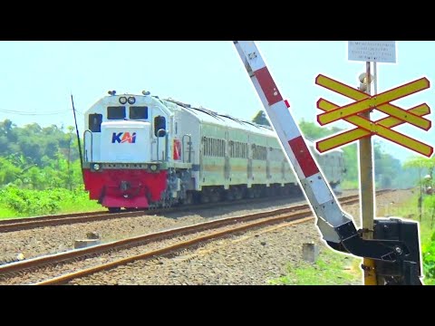 HUNTING KERETA API di Perlintasan KA JPL 195 Kesambi Tegal