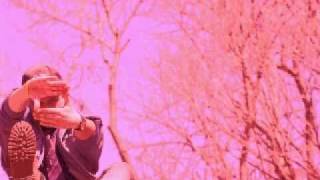 Radamiz - Green Bottom Yankee Cap [prod. by Nasty Nate (Green Lotus)]