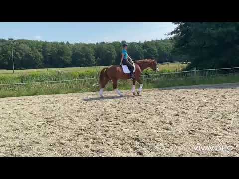 Fame of Fire v. Floriscount - De Niro