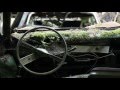 Forest Punk -- Das Buch 