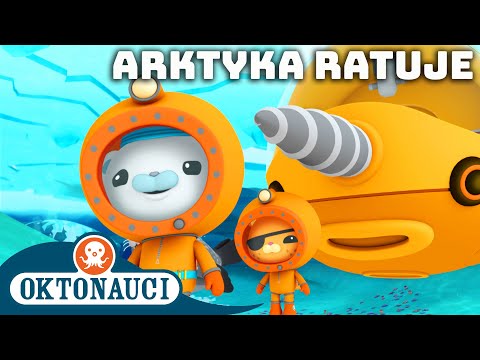 Oktonauci - 🐻‍❄️ Arktyka ratuje ⛑️ | Kompilacja | Całe odcinki