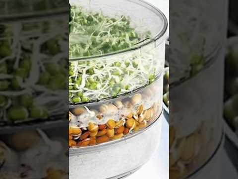 Sprout Maker for Multi Purpose Use  Plastic Grocery Container online  available on Amazon #sprout