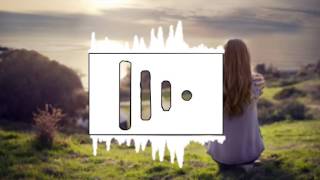 Rockie Gold - Dicks out for Harambe