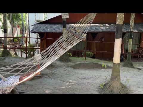 Andaman || #havelockisland #tsgblueresort #radhanagarbeach Srihitha #resort #swing