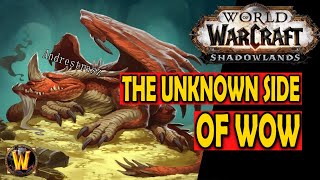 Lesser Known (But Important) Dragons - The Unknown Side of WoW