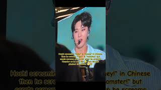 Download lagu Hoshi screaming 'Baby!' & 'Honey!' in Chinese then he scream 'Tiger!' & 'Hamster!' but carats..😆 mp3