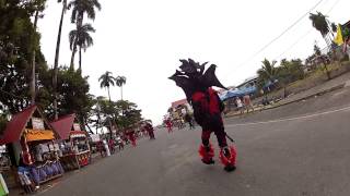 preview picture of video 'Diablos in Bocas del Toro'
