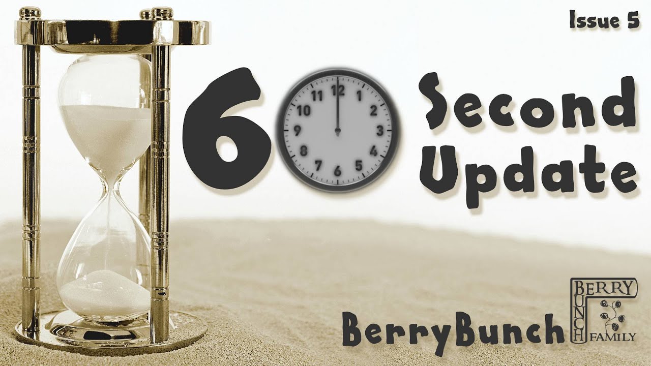 60 Second Update, Issue 5