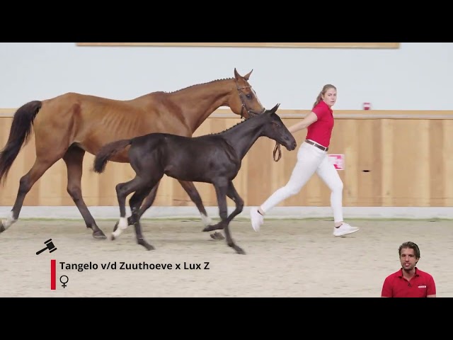 Trésor Keijtershof Z