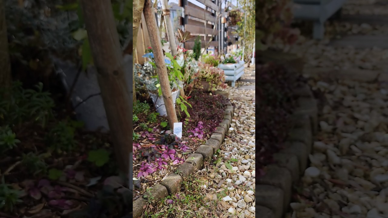 冬の庭に手作りのガーデン雑貨を飾ったら予想以上にオシャレ感出ました♪