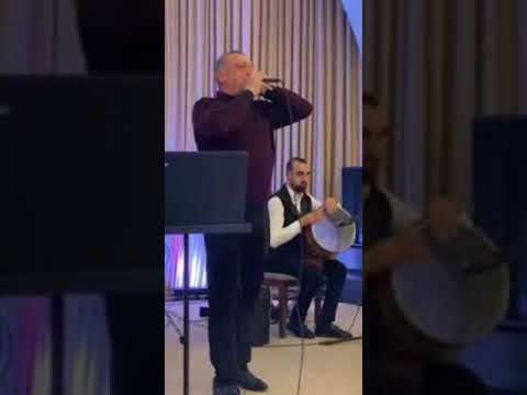 Gexci Gevo mortecinq gar@