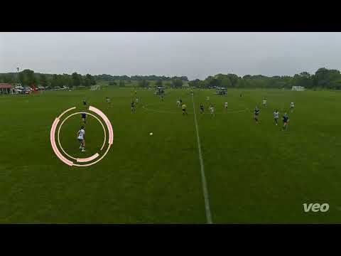 Highlight Video