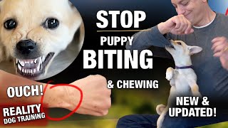 How to STOP The PUPPY BITING & CHEWING MACHINE! Reality Dog Training
