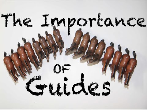 Poinsett's Cavalry Tactics: Preventing a Dog-leg-What are the guides for?