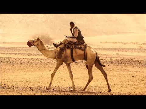 ORKIDZ - Camel Ride (Camel)