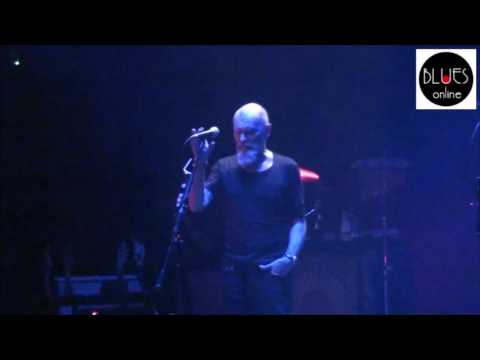 Waglewski Fisz Emade i Suwalska Orkiestra Kameralna na 9. Suwałki Blues Festival