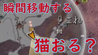 #4【モンスターハンターワールド実況】瞬間移動するネコがいるか【荒れ地の守り族に遭う】