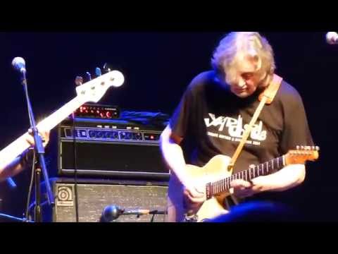 Five Long Years - The Yardbirds 2014.06.27 St. Charles Arcada