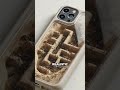This Guy Built An Ant Phone Case