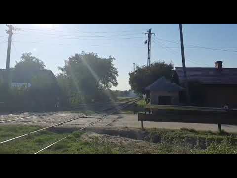 R16519 Iași - Dorohoi pleca din Dângeni