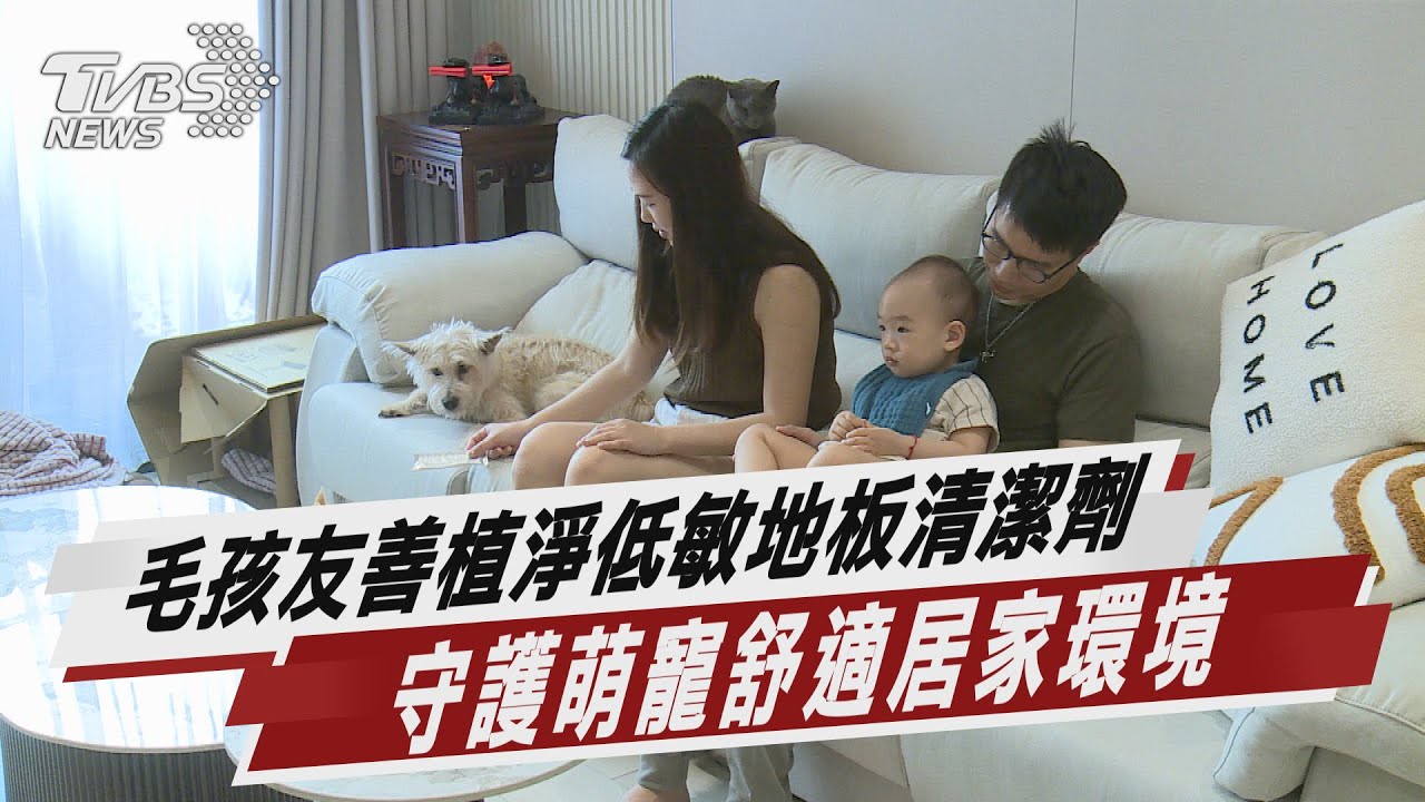 毛孩友善植淨低敏地板清潔劑 守護萌寵舒適居家環境