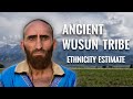 Ancient Saka-Wusun DNA Ethnicity Estimate