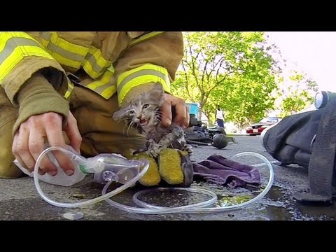 A Hero's Act - Fireman Saves Kitten's life