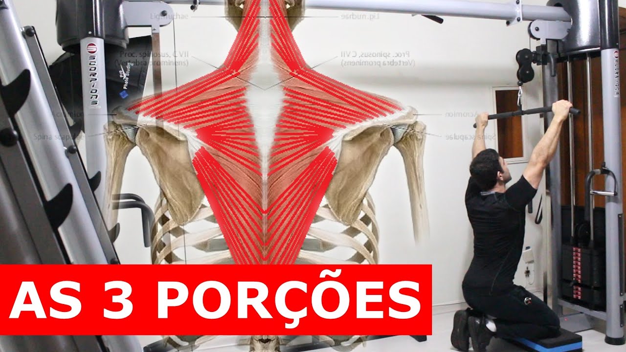 TREINO COMPLETO DE TRAPÉZIO - 5 EXERCÍCIOS (todas as 3 porções)