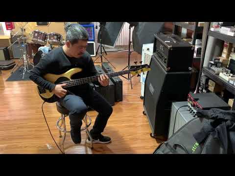 fodera yinyang standard 4 test