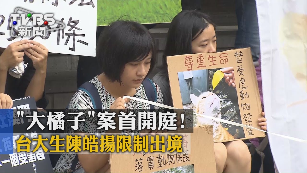 「大橘子」案首開庭　台大生陳皓揚加保15萬