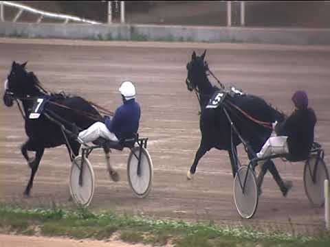 Trotto 28/10/2018 - 3ª corsa