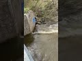 Local creek flooding- Raw sound #flood #creeksounds