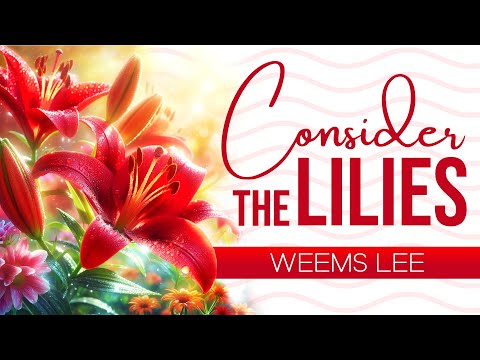 Consider The Lilies in Original Song Style (Hymn) Lyrics | Weems Lee | by Roger Hoffman | StatMatics