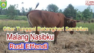 Download lagu ''MALANG NASIBKU''  RUSLI EFFENDI /  GITAR TUNGGAL  BATANGHARI SEMBILAN MUSI RAWAS SUMATERA SELATAN mp3 Download lagu ''MALANG NASIBKU''  RUSLI EFFENDI /  GITAR TUNGGAL  BATANGHARI SEMBILAN MUSI RAWAS SUMATERA SELATAN mp3