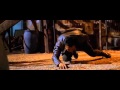 Tony Jaa Vs Michael Jai White Skin Trade