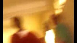 lil chiwowa vs pit steed dog and billy dog 2 childish