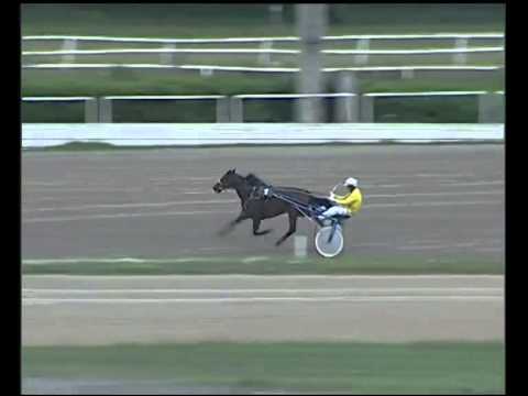 Trotto 25/09/2014 - 2° prova di riqualifica